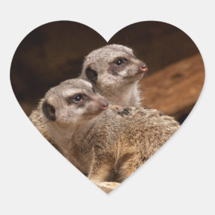 Adesivo Coração Meerkat Heart Sticker