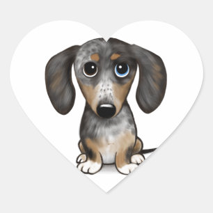 Adesivo Coração Merle Dapple Dachshund Cute Wiener