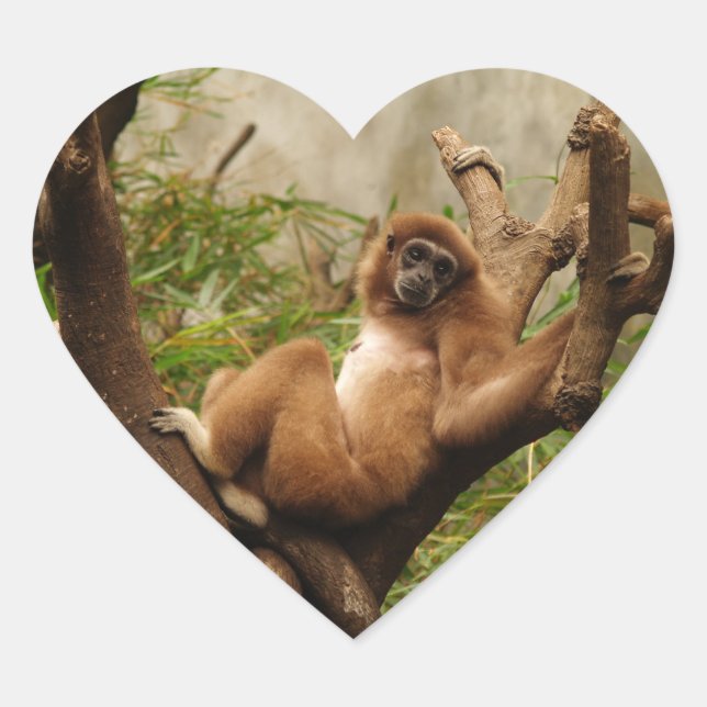 Adesivo Coração Monkey Heart Sticker (Frente)