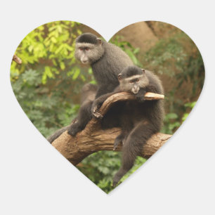 Adesivo Coração Monkey Heart Sticker