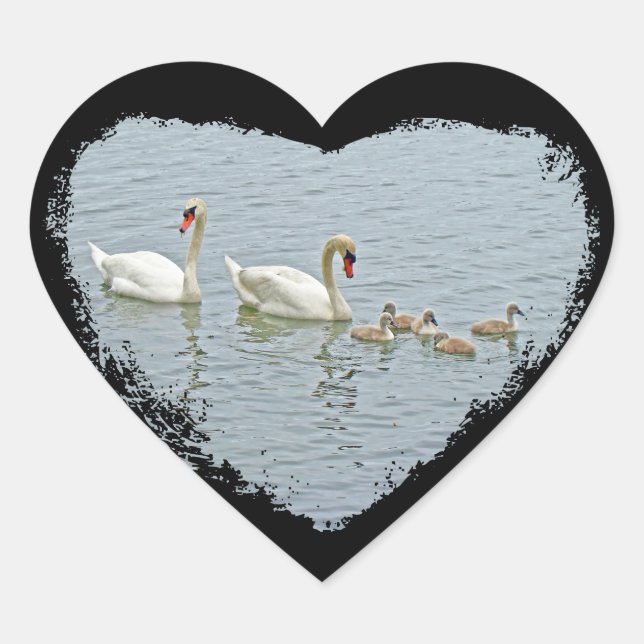Adesivo Coração Mute Swan Famly (Frente)