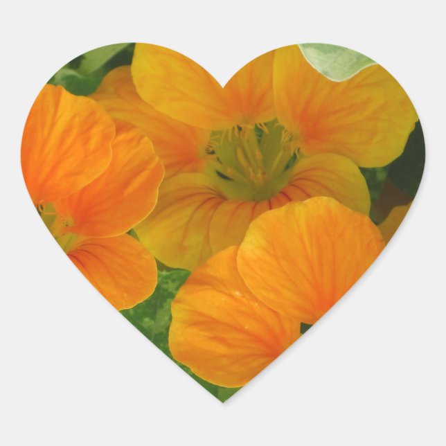 Adesivo Coração Nasturtium Heart Sticker (Frente)