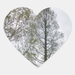 Adesivo Coração Nature Heart Sticker