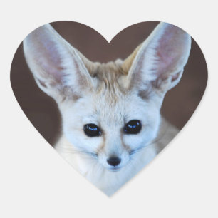 Adesivo Coração O Fox o mais bonito de Fennec dos mundos