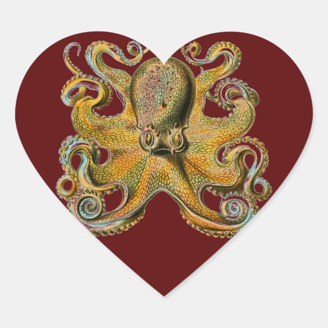 Adesivo Coração Octopus (Frente)