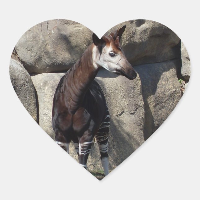ADESIVO CORAÇÃO OKAPI (Frente)