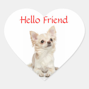 Adesivo Coração Olá Amigo Chihuahua de Cabelo CompridoHeart  Adesi