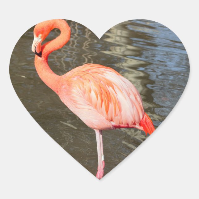 Adesivo Coração Orange Flamingo Photo (Frente)