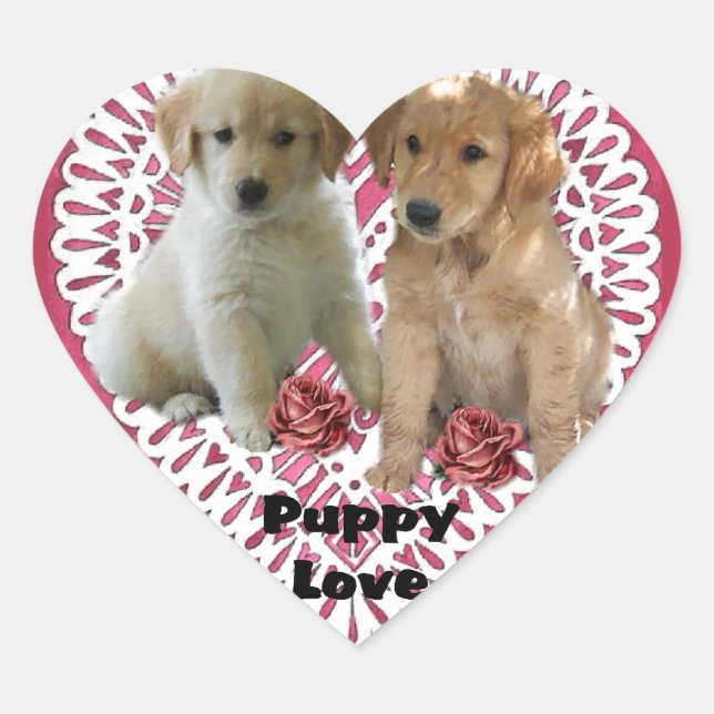 Adesivo Coração Ouro Retriever Puppies Dias de os namorados (Frente)