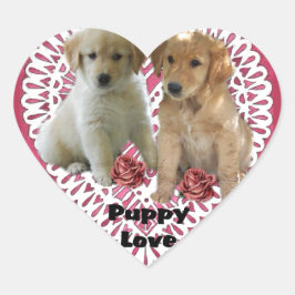 Adesivo Coração Ouro Retriever Puppies Dias de os namorados