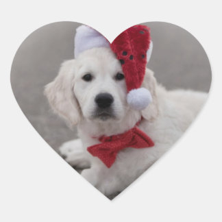 Adesivo Coração Ouro Retriever Puppy Sticker