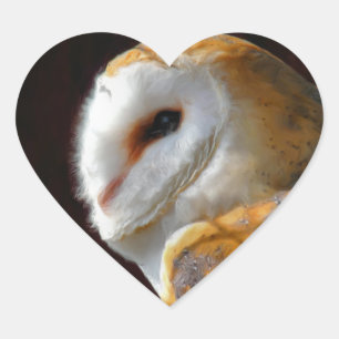 ADESIVO CORAÇÃO OWLS