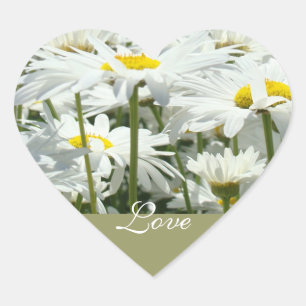Adesivo Coração Padrões de amor Flores Brancas Daisy Casamentos No