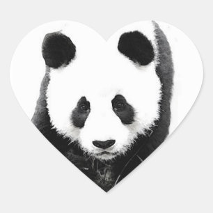 Adesivo Coração Panda Face Heart Sticker