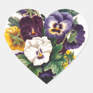 Adesivo Coração Pansies