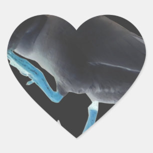 Adesivo Coração Pato com eu acordei como este texto do & Hakuna Ma