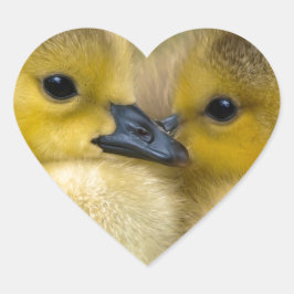 Adesivo Coração Patos Fluffy Amarelos, Patos Bebês
