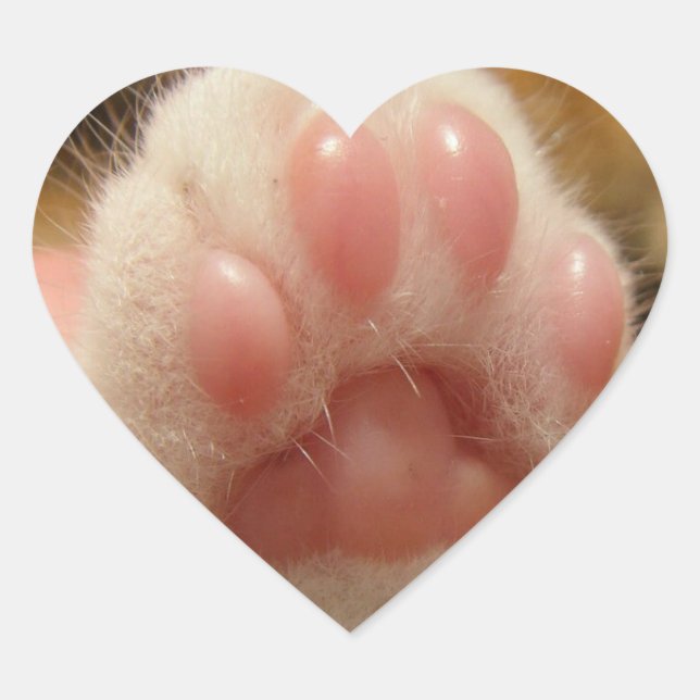 Adesivo Coração Pegatina de pata de gato (Frente)
