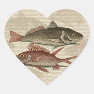 Adesivo Coração Peixe Perca Vermelha Arte de Pescador