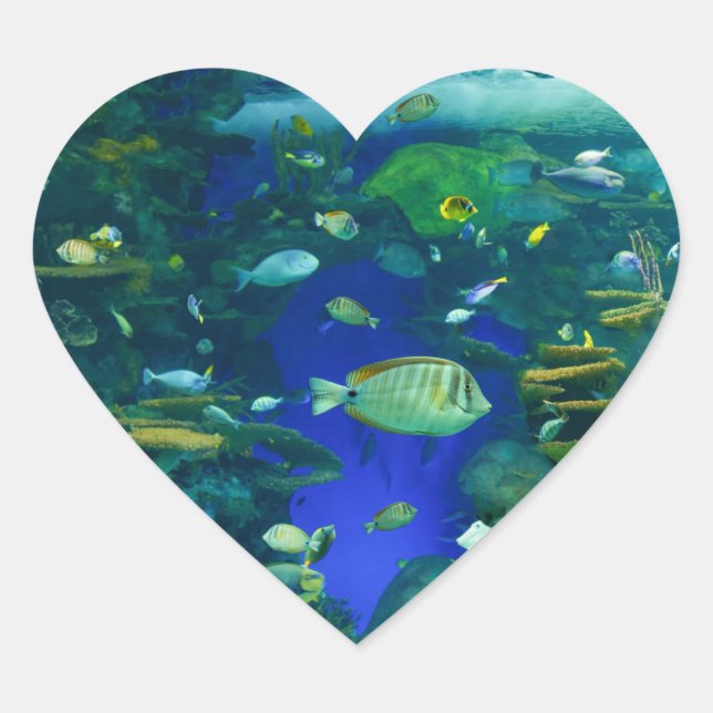 Adesivo Coração Peixes Tropicais (Frente)