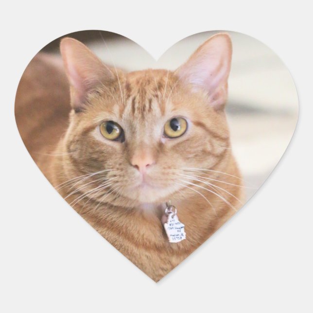 Adesivo Coração Penny (Frente)