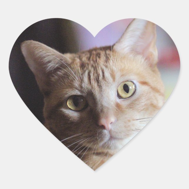 Adesivo Coração Penny (Frente)