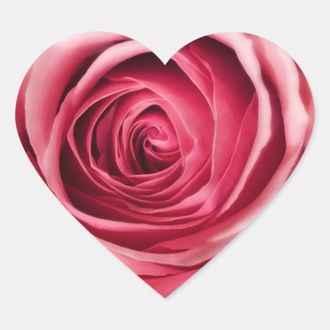 Adesivo Coração Pentes de forma coronária rosa-rosa (Frente)