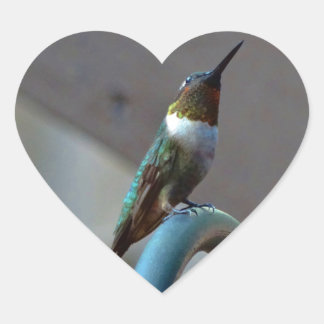 Adesivo Coração Pequeno beija-flor