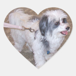 Adesivo Coração Pequeno Vinheta Cachorro
