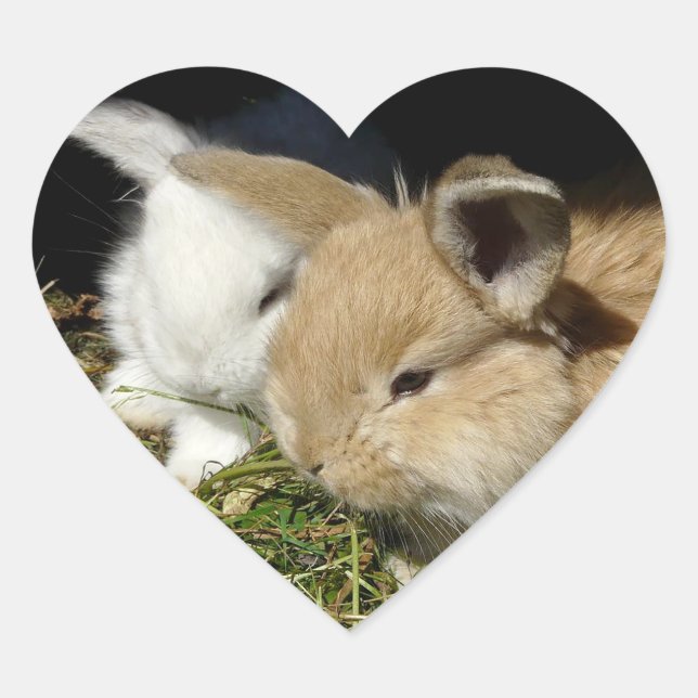 Adesivo Coração Pequenos coelhos fofos bonitos (Frente)