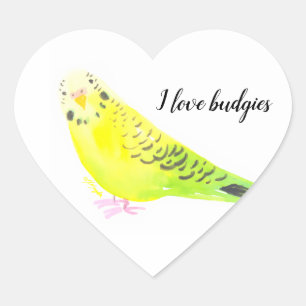 Adesivo Coração Periquito Australiano Amarelo Verde Aquarela