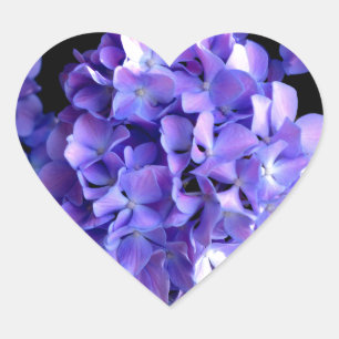 Adesivo Coração Periwinkle Hydrangeas