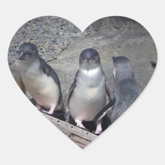 Adesivo Coração Pinguins Azuis