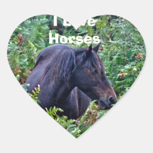 Adesivo Coração Pônei novo preto raro da floresta - cavalo