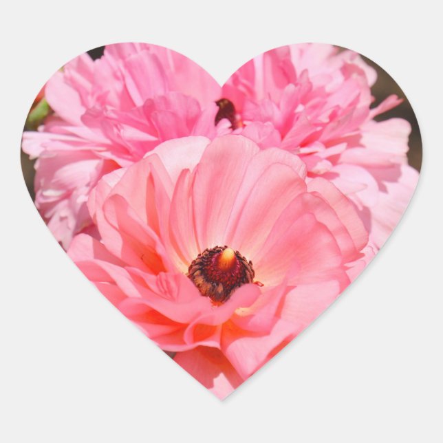 Adesivo Coração Popping in Pink  (Frente)