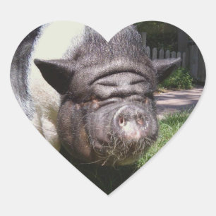 Adesivo Coração Pote Belly