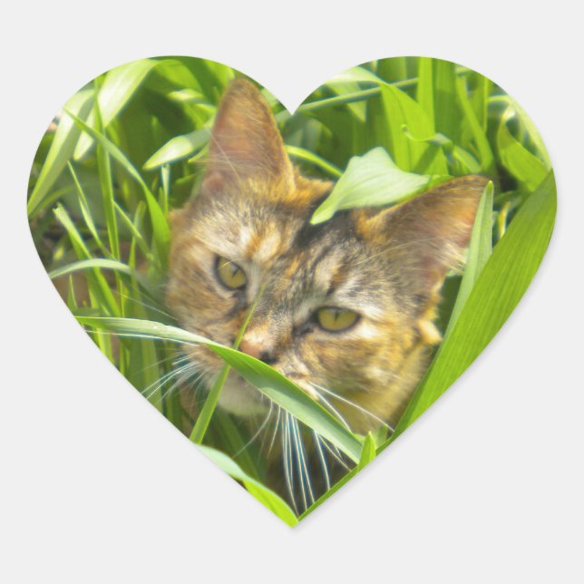 Adesivo Coração Precioso Selgle Gatinho (Frente)