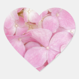 Adesivo Coração Primavera cor-de-rosa das flores