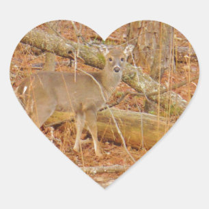 Adesivo Coração Primeiro inverno do Baby Deer
