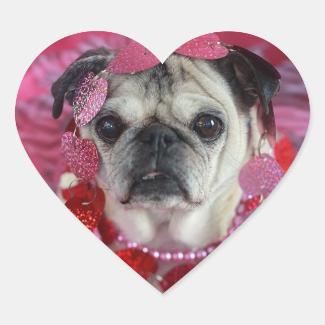 Adesivo Coração Pug Namorados Heart Stickers (Frente)