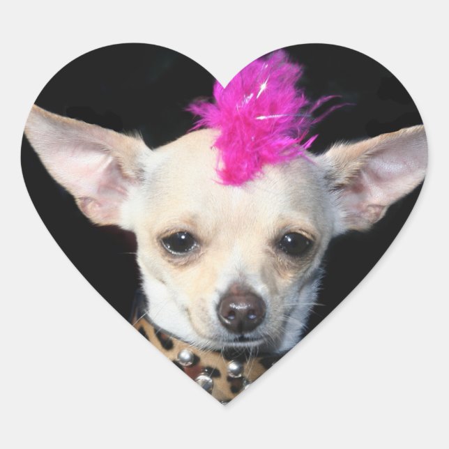 Adesivo Coração Punk Chihuahua Stickers (Frente)