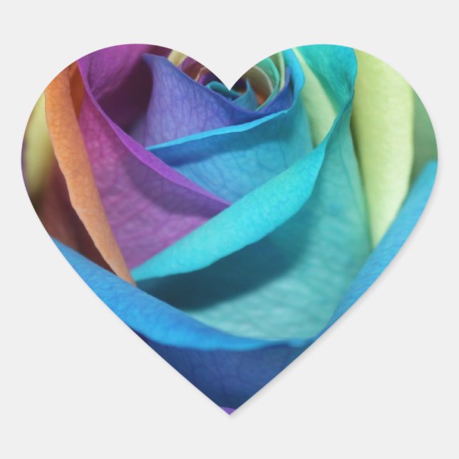 Adesivo Coração Rainbow Rosa Flores Paz Destino de Amor (Frente)