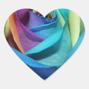 Adesivo Coração Rainbow Rosa Flores Paz Destino de Amor