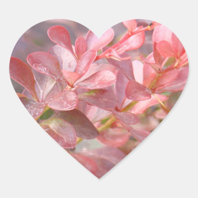 Adesivo Coração Ramificações bonito rosa (Frente)