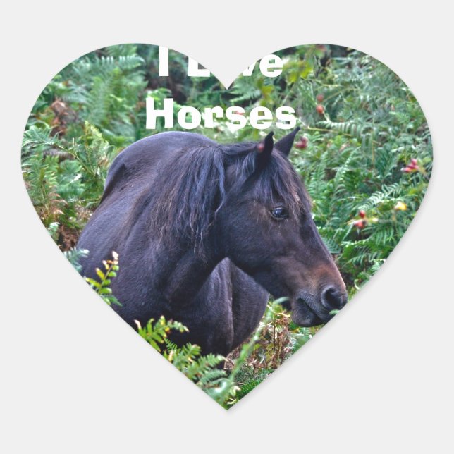 Adesivo Coração Rare Black New Forest Pony - Wild Horse - Inglater (Frente)