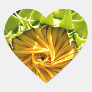 Adesivo Coração Ravina