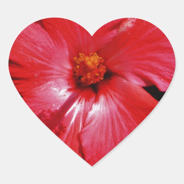 Adesivo Coração Red Hibiscus (Frente)