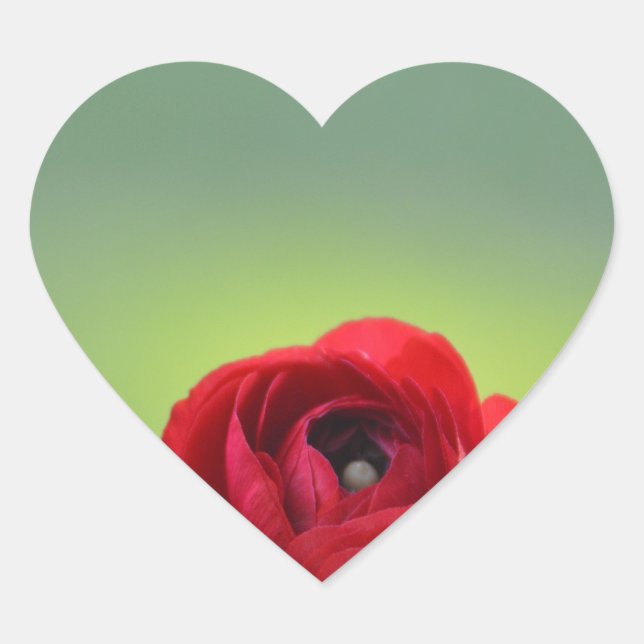 Adesivo Coração Red Ranunculus Blossom (Frente)