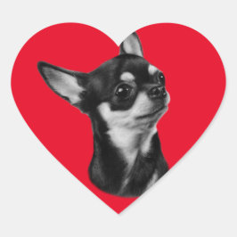 Adesivo Coração Retrato chihuahua pintado à mão