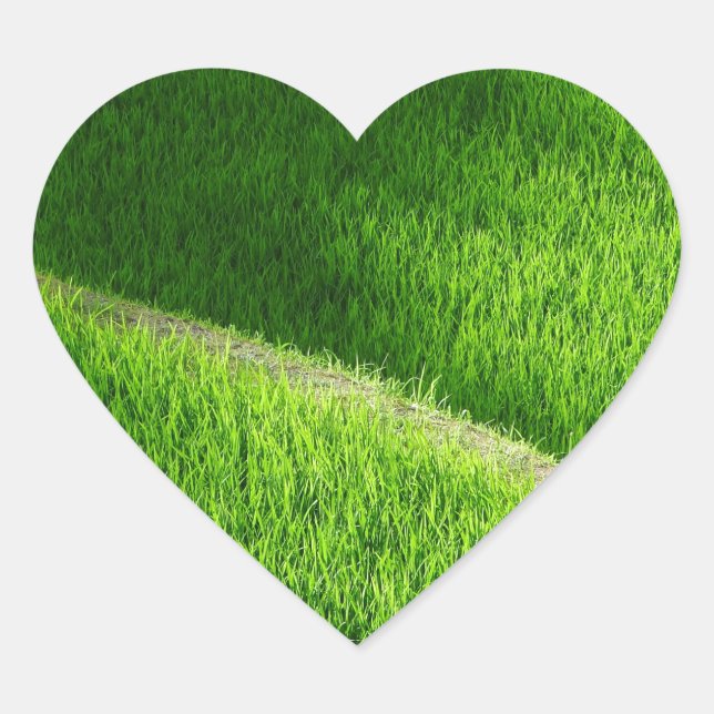 Adesivo Coração Rice Terraces Yamada's Rice Fields Japão (Frente)